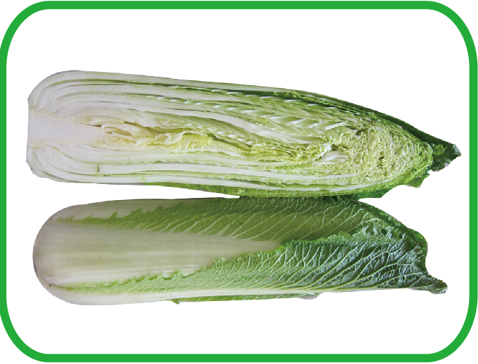 长白菜 Long Cabbage